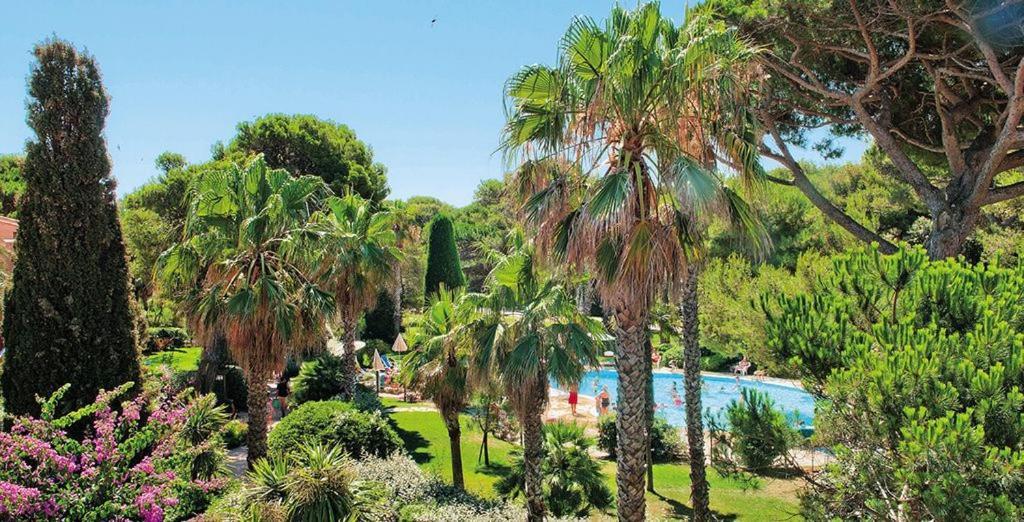 La Badine 5P Plage Piscine Clim Jacuzzi Parc Luxuriant Єр Екстер'єр фото